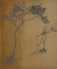1925 - Alberi a Procida